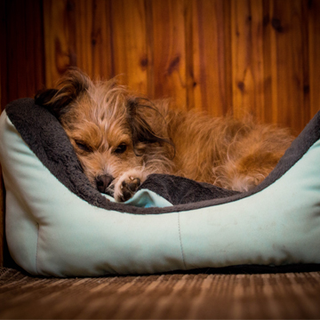 Pelechy Krmiva.sk Chovateľské potreby