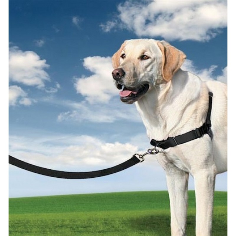 PetSafe Easy Walk Postroj proti ahaniu ierny S