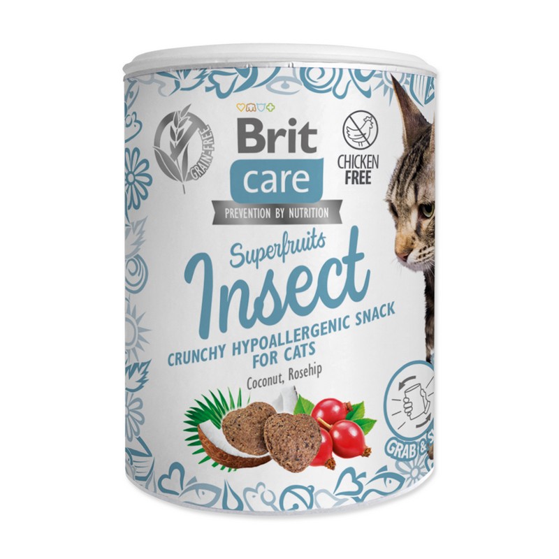 Brit care cat snack superfruits insect 100g