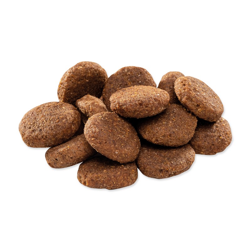 Brit Premium by Nature dog senior L + XL chicken 15 kg Krmiva.sk Chovateľské potreby