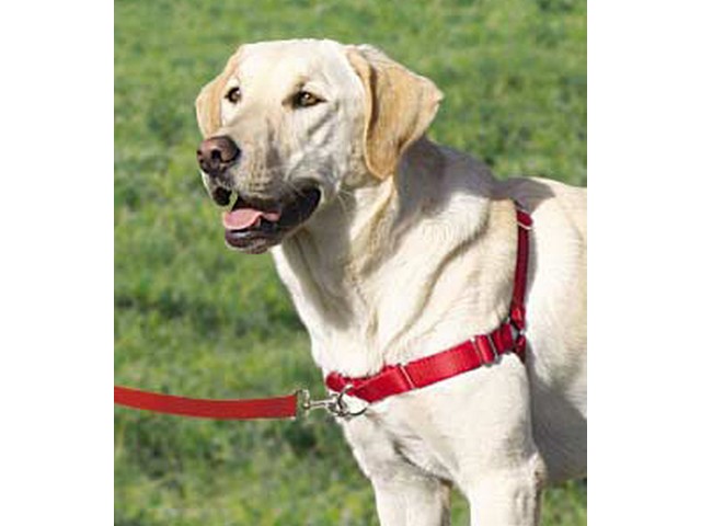 PetSafe Easy Walk Postroj proti ahaniu erven XS