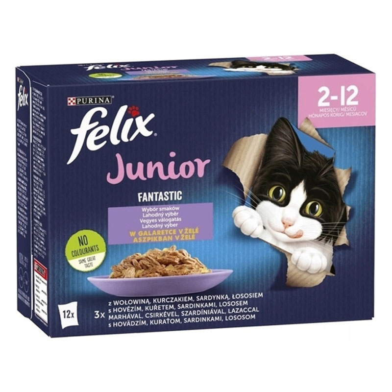 Felix Fantastic JUNIOR Lahodn vber v el,hovdzie,kuracie,sardinky,losos 12x85g