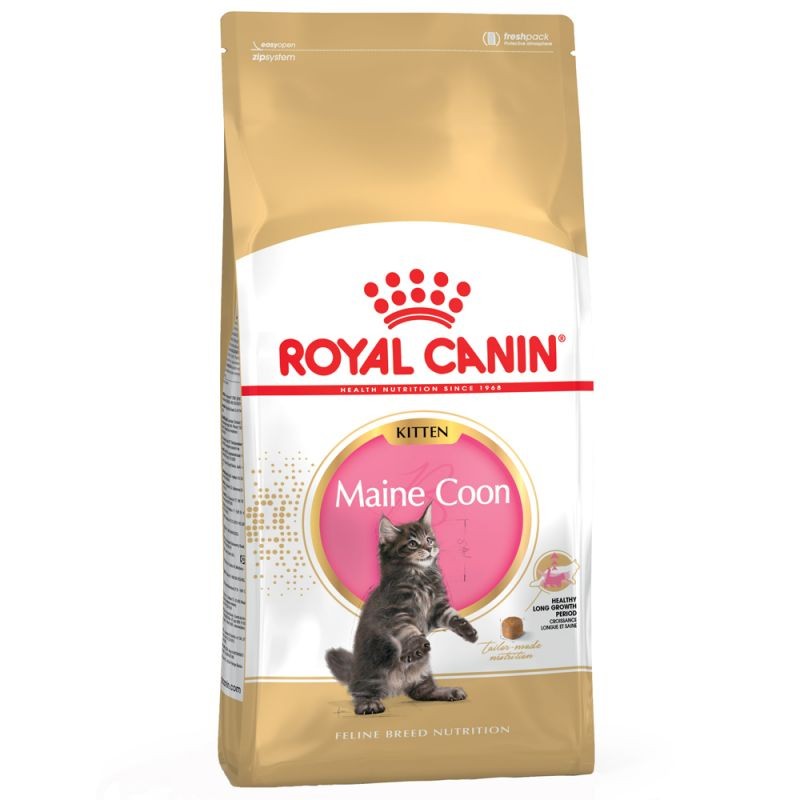 Royal Canin Kitten Maine Coon 36 - 10 kg