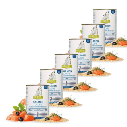 Isegrim dog adult salmon Multipack 6 x 800g