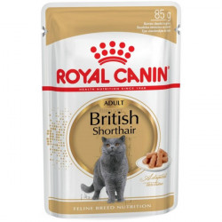 Royal Canin Adult British Shorthair kapsika pre maky v ave 85 g