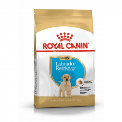Royal Canin Puppy Labrador Retriever granule pre teniatka 3 kg