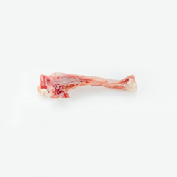 Topstein Prosciutto bone mini kos pre malch psov 1ks