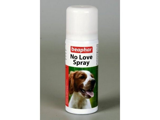 No love spray 50 ml