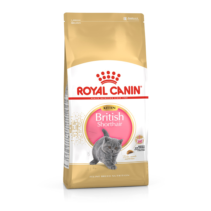 Royal Canin Kitten British Shorthair - 2 kg