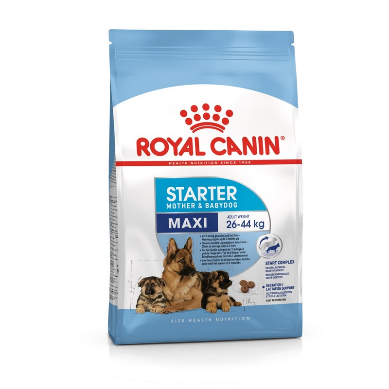 Royal Canin Maxi Starter mother & babydog 4 kg